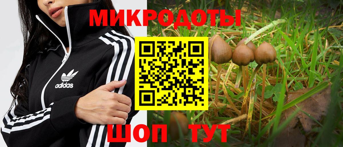 Галлюциногенные грибы ЛСД Курган