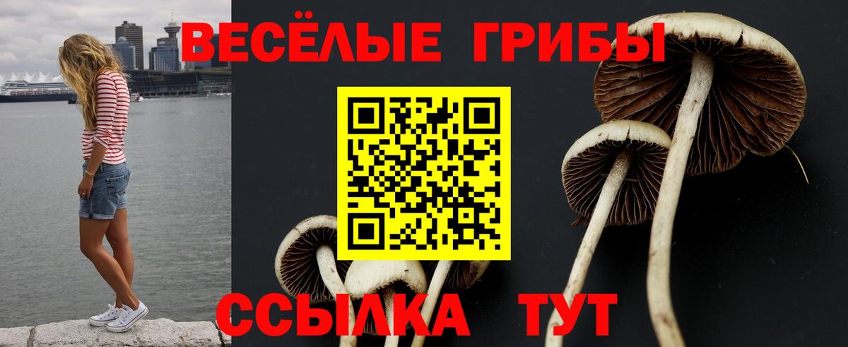 Галлюциногенные грибы прущие грибы  где купить   Курган  Псилоцибиновые грибы ЛСД  Вход с VPN 